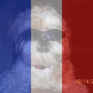 Meet your Posher, Cody